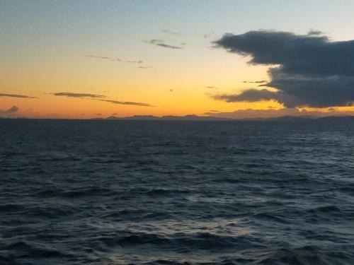 Masa's profile Image