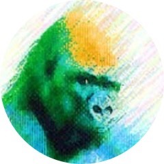 サワキセイタ's profile Image